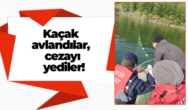 Kaçak avlandılar, cezayı yediler!