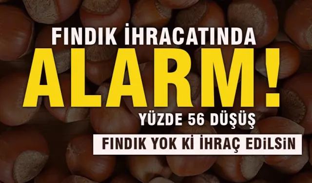 Fındık ihracatında alarm: Yüzde 56 düşüş