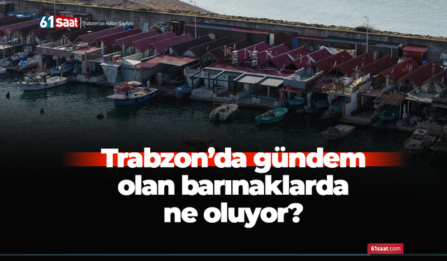 Trabzon'da gündem olan barınaklarda ne oluyor?