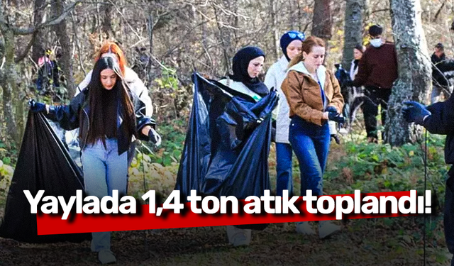 Yaylada 1,4 ton atık toplandı!