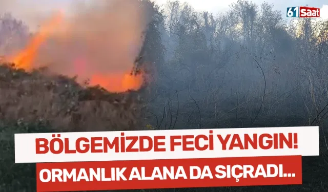 Bölgemizde feci yangın! Ormanlık alana da sıçradı...