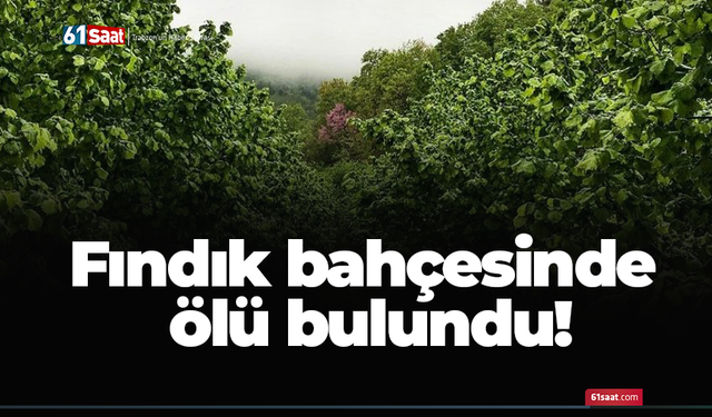 Fındık bahçesinde ölü bulundu!