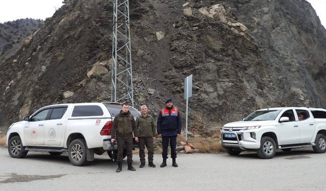 Artvin’de kaçak avcılığa karşı denetimleri sürüyor