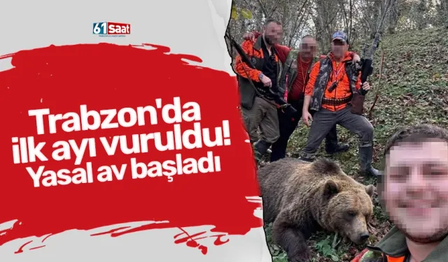 Trabzon'da ilk ayı vuruldu! Yasal av başladı