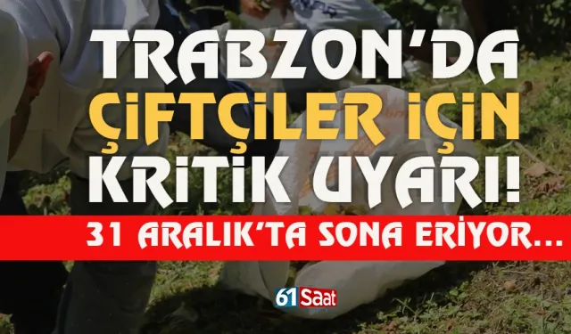 Trabzon'da çiftçiler için kritik uyarı: 31 Aralık'ta sona eriyor...