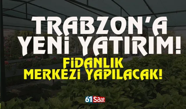 Trabzon’da yeni yatırım! Fidanlık merkezi yapılacak…