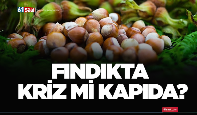 Fındıkta kriz mi kapıda?