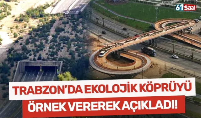 Trabzon'da ekolojik köprünün nasıl olacağını örnek göstererek açıkladı!