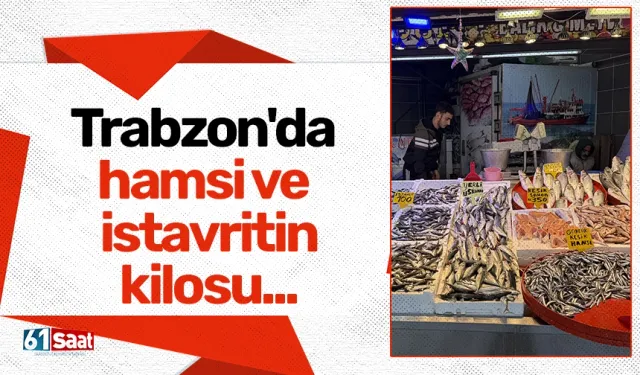 Trabzon'da hamsi ve istavrit 100 liradan satılıyor!