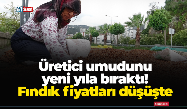 Üretici umudunu yeni yıla bıraktı! Fındık fiyatları düşüşte