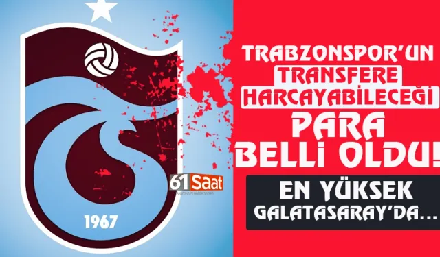 Trabzonspor'un transfer için harcayabileceği para belli oldu!