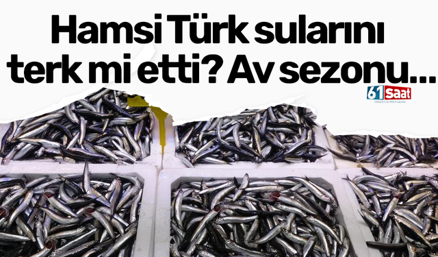 Hamsi Türk sularını terk mi etti? Av sezonu…