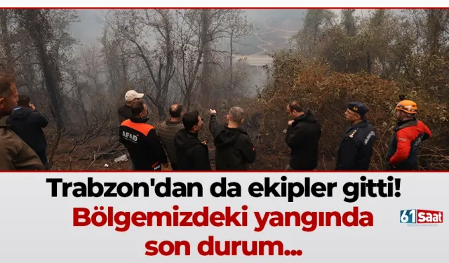 Trabzon'dan da ekipler gitti! Bölgemizdeki yangında son durum...
