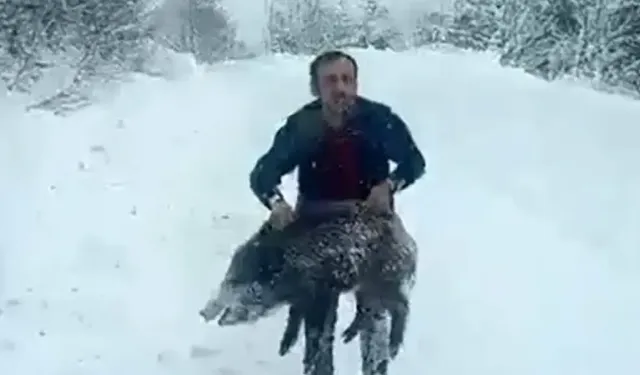 Eliyle domuz yakalayan vatandaşa ceza