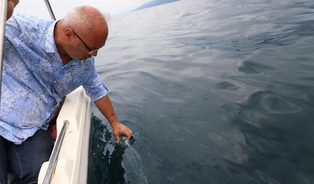 Rize-Çayeli açıklarındaki petrol sızıntısının  kaynağı açıklandı!