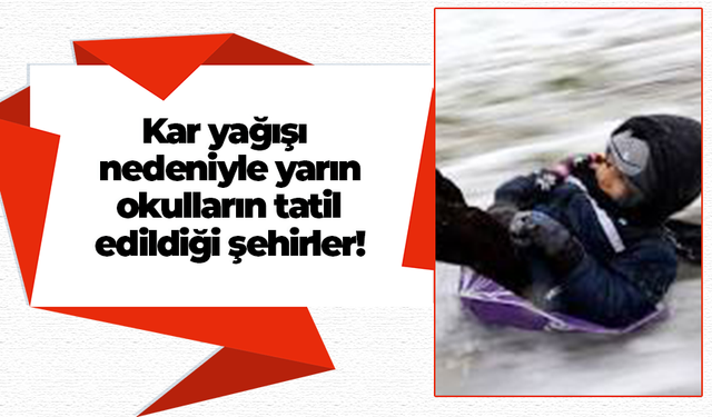 Kar yağışı nedeniyle yarın okulların tatil edildiği şehirler!