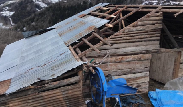 Giresun'da fırtınada bazı seralar ve yayla evleri hasar gördü!