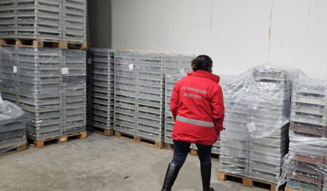 Trabzon'da soğuk hava deposunda denetim!