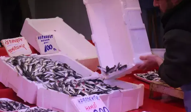 Hamsinin yokluğunu kapattı,  fiyatı dibi gördü!  Tezgahın en ucuzu