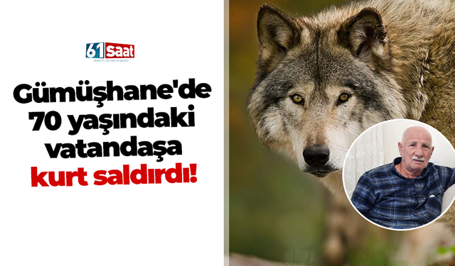 Gümüşhane'de 70 yaşındaki vatandaşa kurt saldırdı!