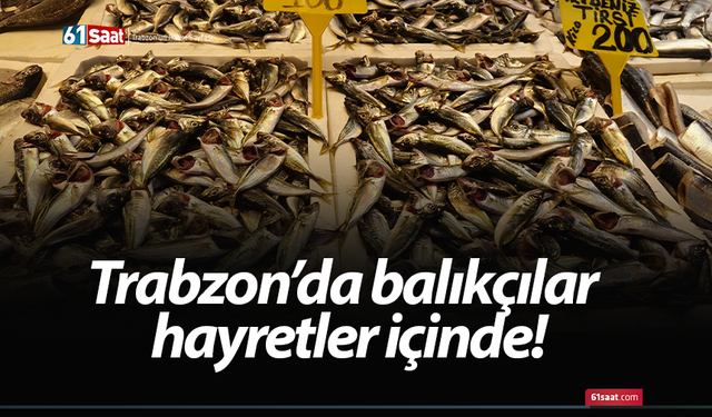 Trabzon’da balıkçılar hayretler içinde!