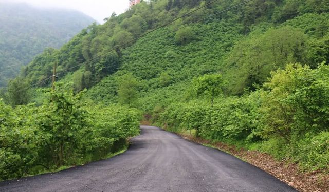 Trabzon'da 2 ilçe için 5,5 kilometrelik yeni orman yolu yatırımı!