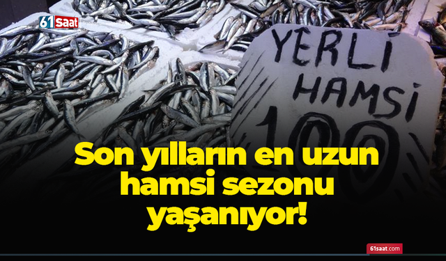 Son yılların en uzun hamsi sezonu yaşanıyor!