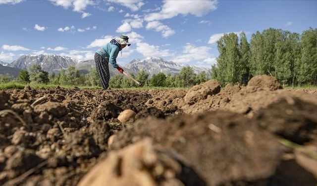 Kırsalda yaşayanların nüfusu azalıyor