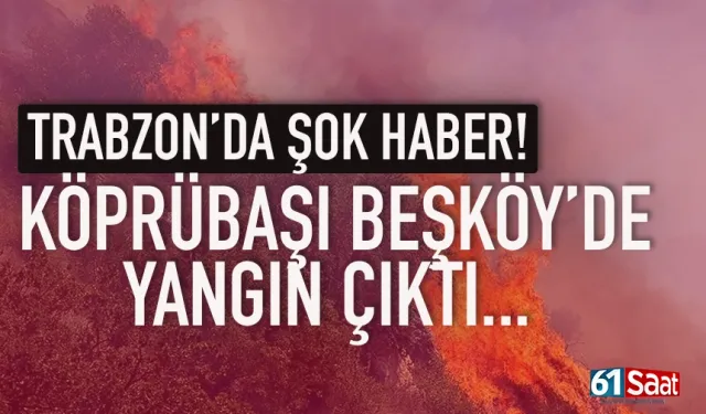 Trabzon Köprübaşı Beşköy'de ormanlık alanda yangın...