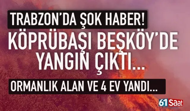 Trabzon Köprübaşı Beşköy'de ormanlık alanda yangın, 4 ev yandı...