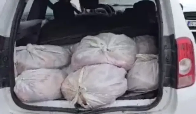 Satışa hazır  306 kilo at eti yakalandı!