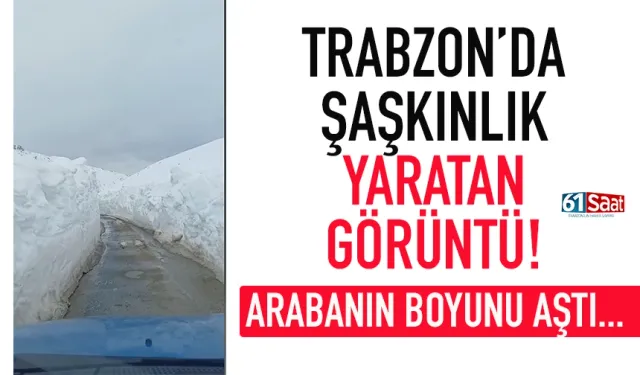 Trabzon'da şaşkınlık yaratan görüntü: Arabanın boyunu aştı...