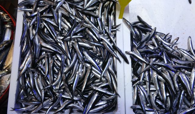 Savaş halindeki ülke ihracatta ilk sırayı aldı!