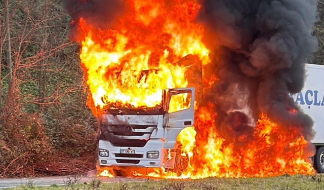 Rize'de arızalanan tır alev aldı