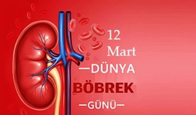 12 Mart Dünya Böbrek Günü'nde böbrek sağlığına dikkat çekildi.