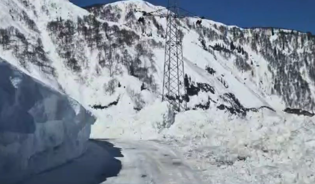 Artvin'de Macahel Geçidi yeniden ulaşıma açıldı