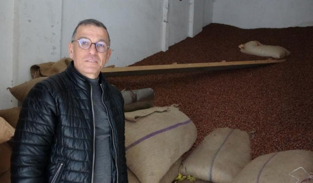 Ramazan Bayramı öncesi fındık fiyatları 240 liraya geriledi