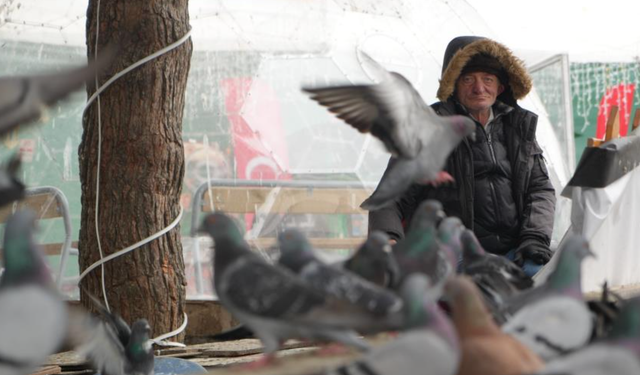 "Çocukların Kuşçu Dedesi" kuşlar için meydanı terk etmiyor