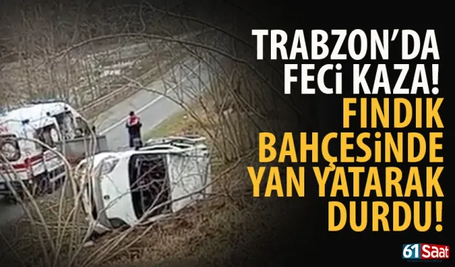 Trabzon'da kaza! Fındık bahçesinde yan yattı...