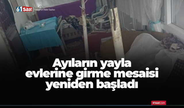 Ayıların yayla evlerine girme mesaisi yeniden başladı