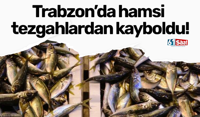 Trabzon’da hamsi tezgahlardan kayboldu!