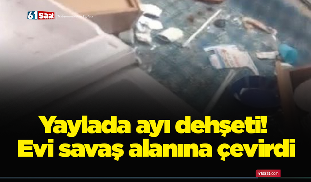 Yaylada ayı dehşeti! Evi savaş alanına çevirdi