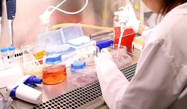 Yabancı hastalar, Türkiye’de  kök hücre nakli yaptırıyor