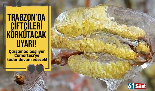 Trabzon'da önlem alınmazsa büyük zarar olabilir! Çarşamba başlıyor...