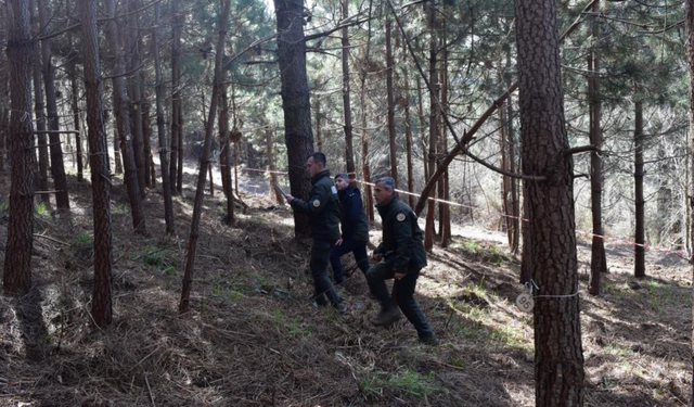 Türkiye Ormancılık Oyunları Trabzon'da başladı!