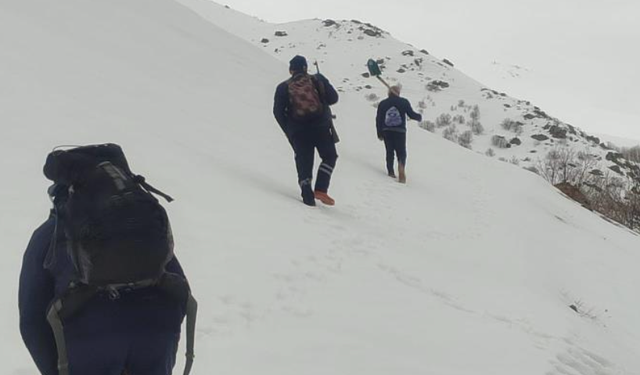 Bayburt'ta ayı saldırılarının yaşandığı yaylada ulaşım sorunu sürüyor