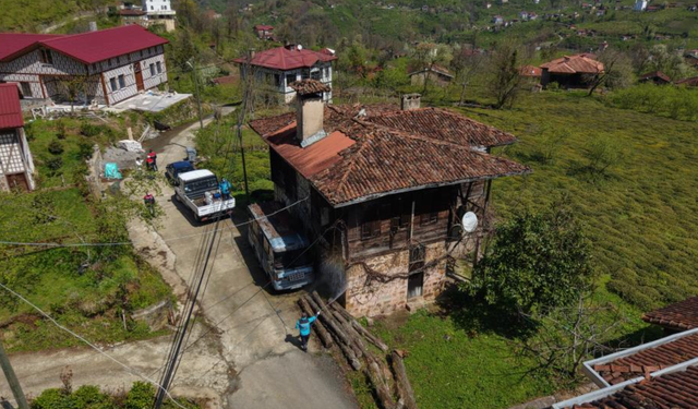 Kahverengi kokarcaya karşı kışlaklardan çıkış öncesi ilaçlama hız kazandı!