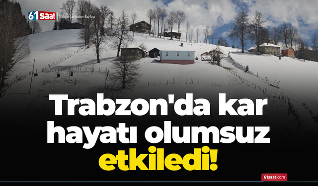 Trabzon'da kar hayatı olumsuz etkiledi!