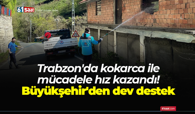 Trabzon'da kokarca ile mücadele hız kazandı! Büyükşehir'den dev destek