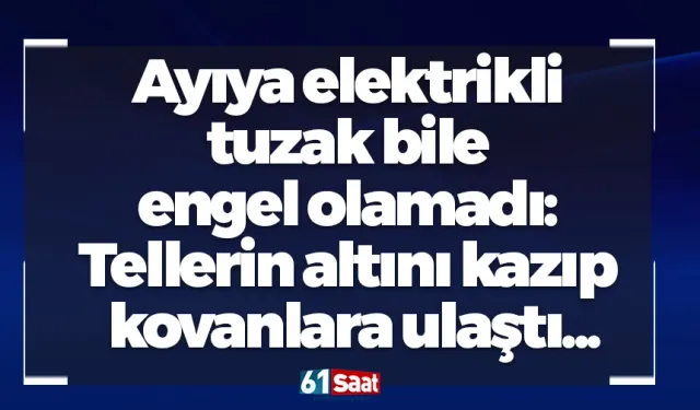 Ayıya elektrikli tuzak bile engel olamadı: Tellerin altını kazıp kovanlara ulaştı...